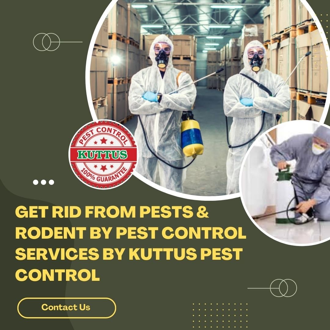 Commercial Pest Control Service in Meerut